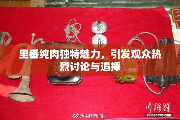 里番纯肉独特魅力，引发观众热烈讨论与追捧