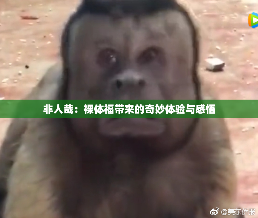 非人哉：裸体福带来的奇妙体验与感悟
