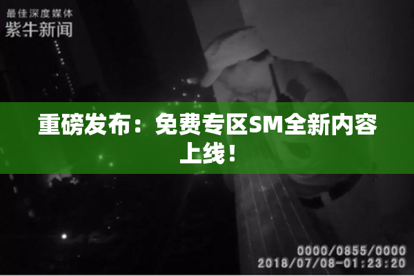 重磅发布：免费专区SM全新内容上线！