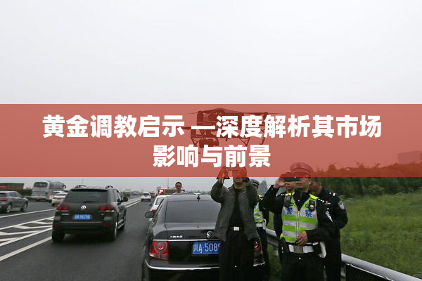 黄金调教启示 —深度解析其市场影响与前景