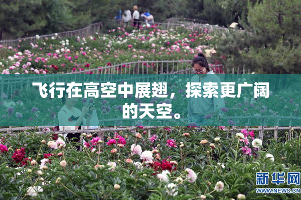 飞行在高空中展翅，探索更广阔的天空。