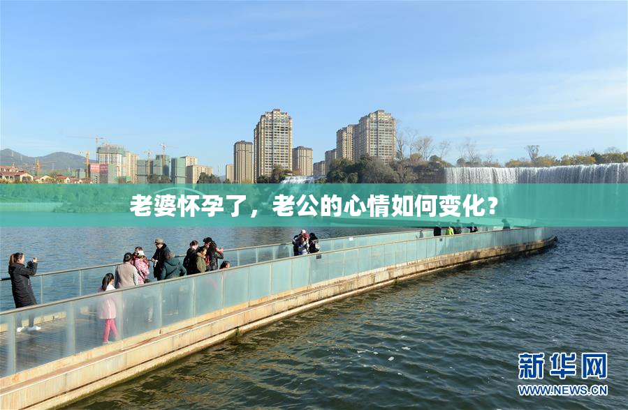老婆怀孕了，老公的心情如何变化？
