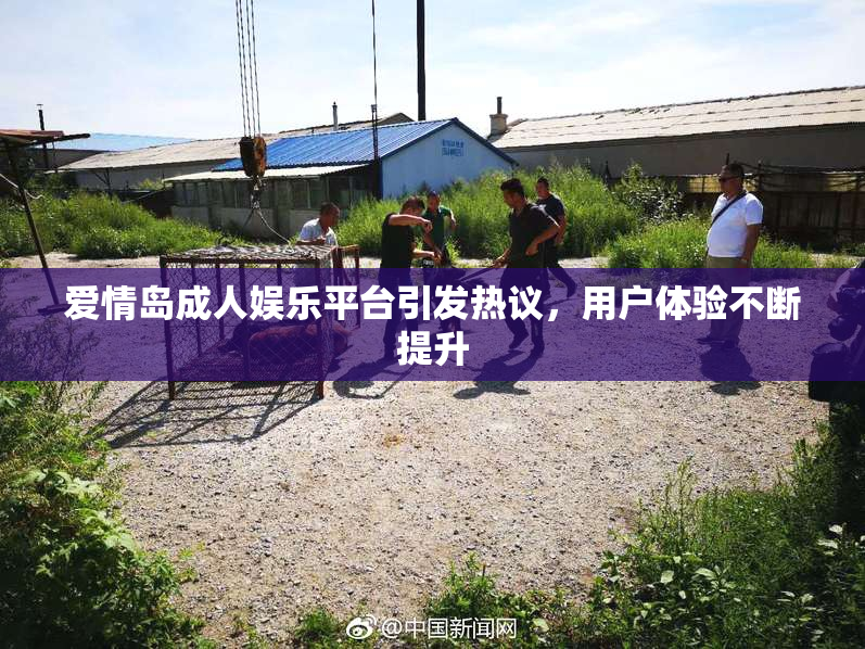 爱情岛成人娱乐平台引发热议，用户体验不断提升