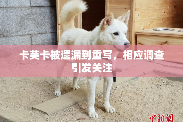 卡芙卡被遗漏到重写，相应调查引发关注