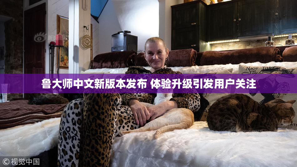鲁大师中文新版本发布 体验升级引发用户关注