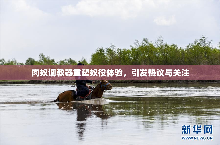 肉奴调教器重塑奴役体验，引发热议与关注