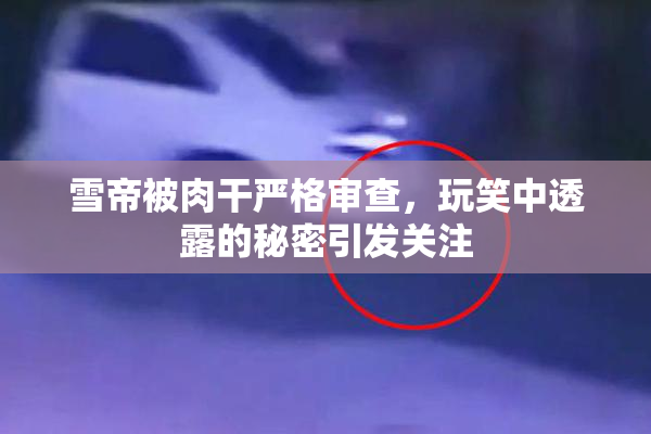 雪帝被肉干严格审查，玩笑中透露的秘密引发关注
