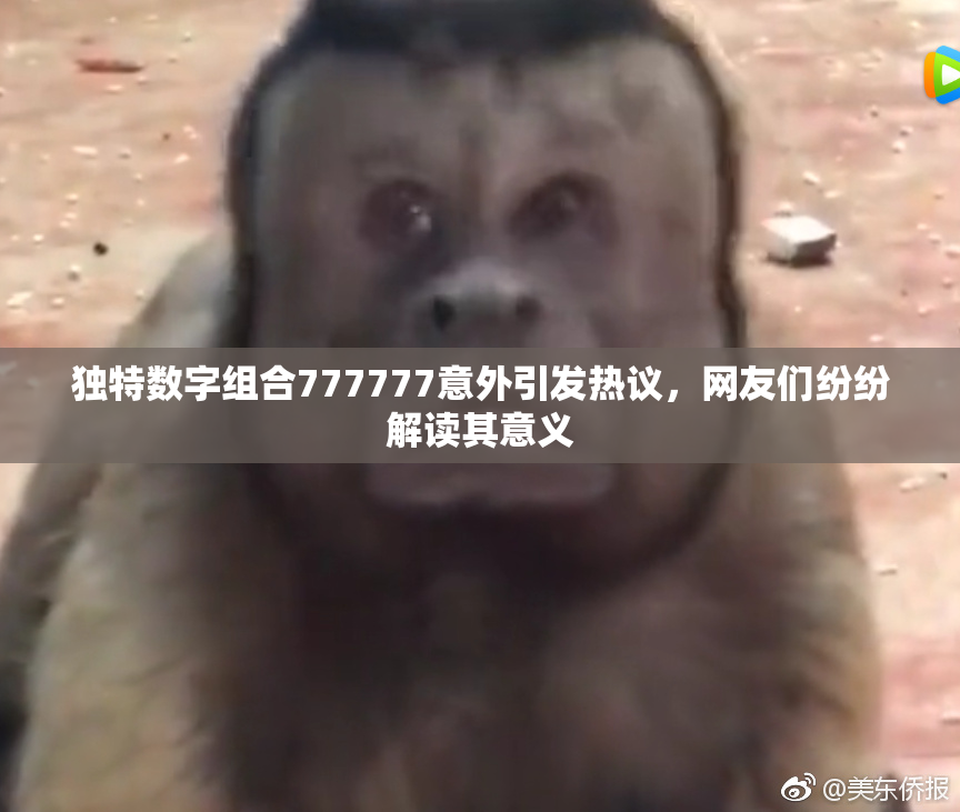 独特数字组合777777意外引发热议，网友们纷纷解读其意义
