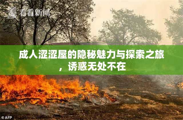 成人涩涩屋的隐秘魅力与探索之旅，诱惑无处不在