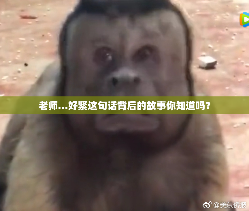 老师…好紧这句话背后的故事你知道吗？