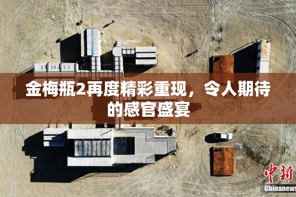 金梅瓶2再度精彩重现，令人期待的感官盛宴