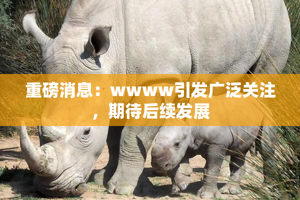 重磅消息：wwww引发广泛关注，期待后续发展