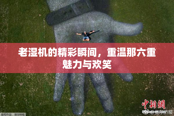 老湿机的精彩瞬间，重温那六重魅力与欢笑