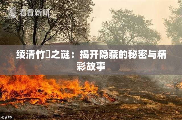 绫清竹婬之谜：揭开隐藏的秘密与精彩故事