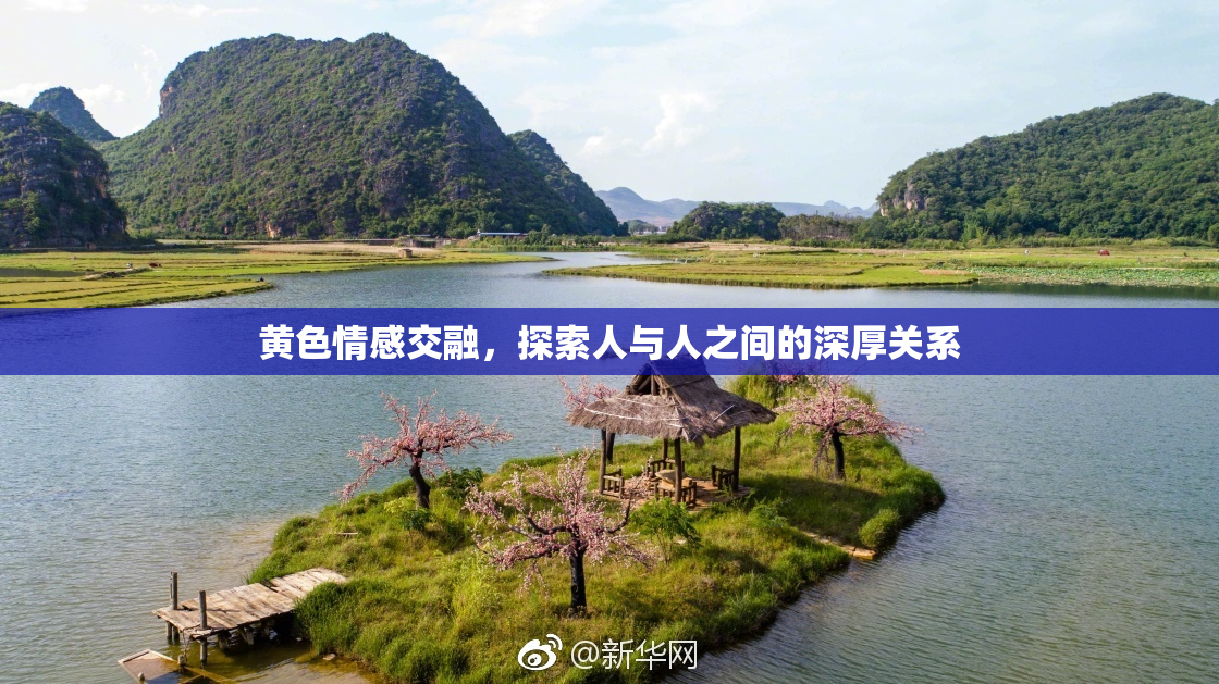 黄色情感交融，探索人与人之间的深厚关系
