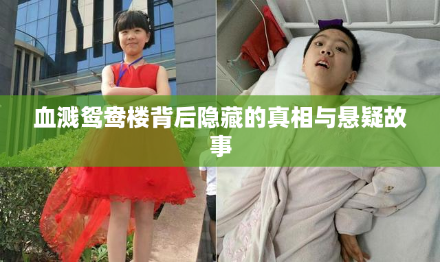 血溅鸳鸯楼背后隐藏的真相与悬疑故事