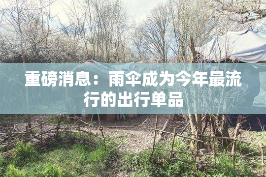 重磅消息：雨伞成为今年最流行的出行单品