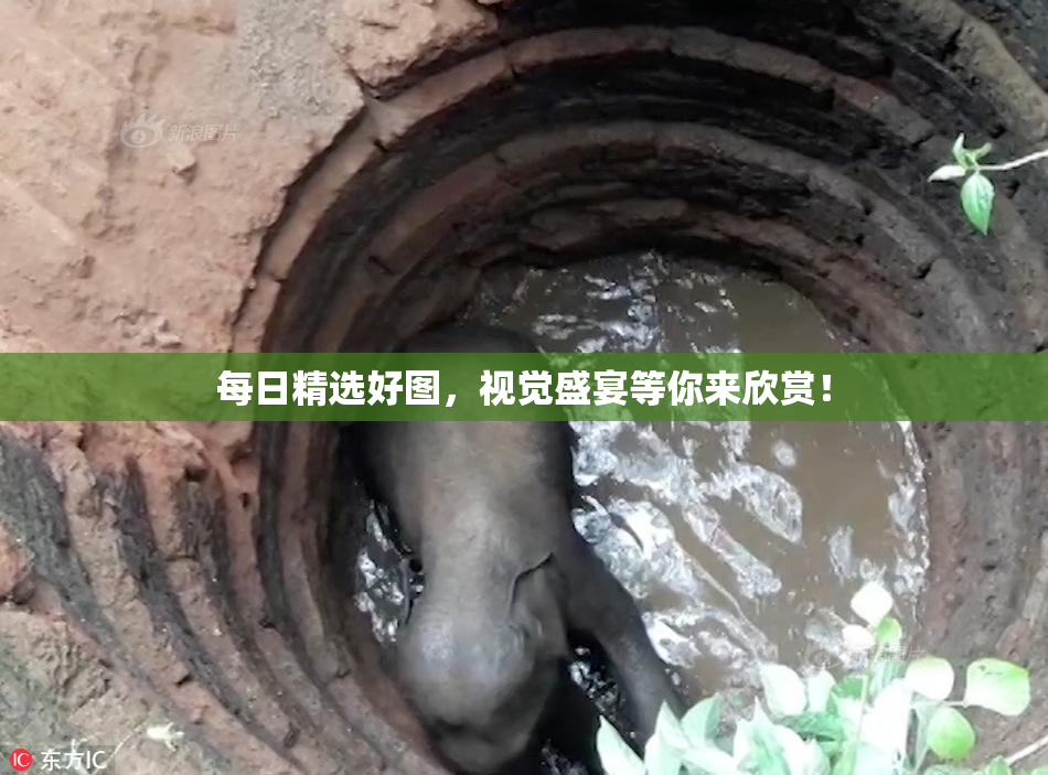 每日精选好图，视觉盛宴等你来欣赏！