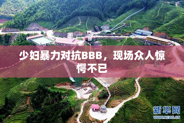 少妇暴力对抗BBB，现场众人惊愕不已