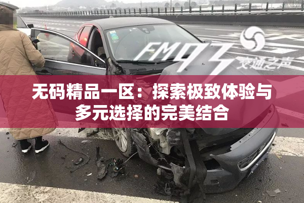 无码精品一区：探索极致体验与多元选择的完美结合