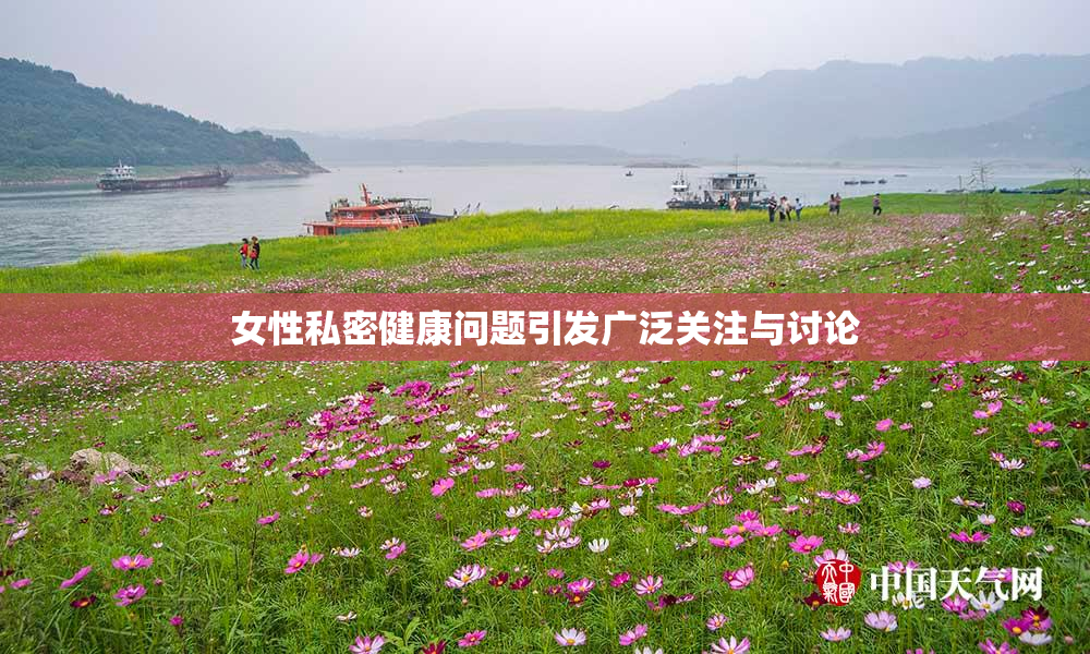女性私密健康问题引发广泛关注与讨论