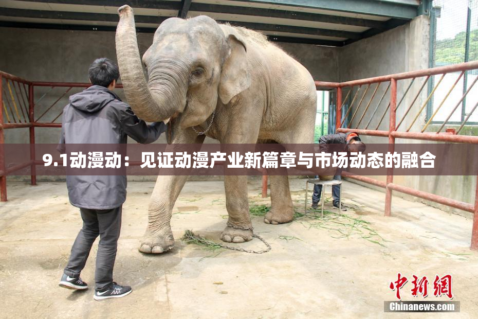 9.1动漫动：见证动漫产业新篇章与市场动态的融合