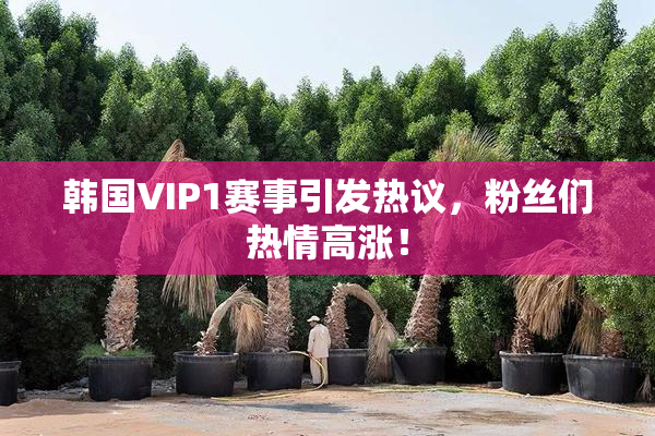 韩国VIP1赛事引发热议，粉丝们热情高涨！