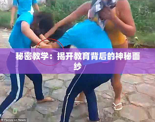 秘密教学：揭开教育背后的神秘面纱