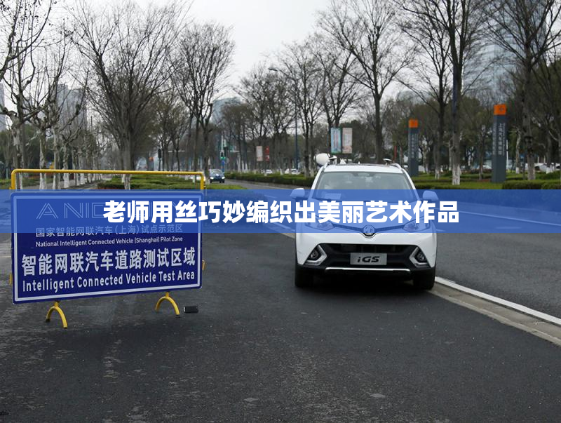 老师用丝巧妙编织出美丽艺术作品