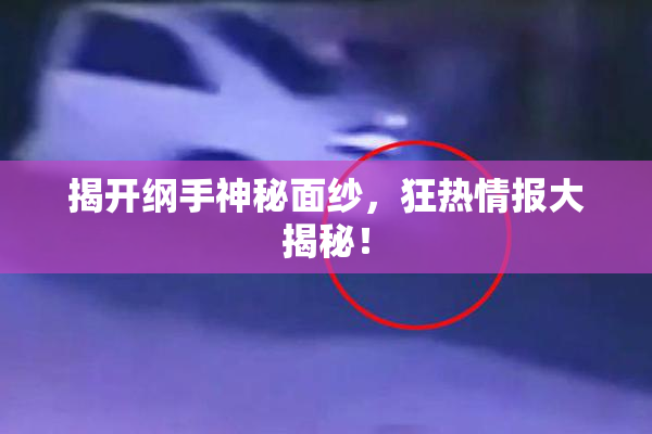 揭开纲手神秘面纱，狂热情报大揭秘！