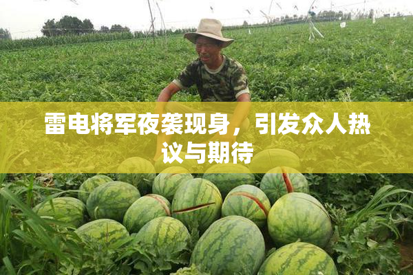 雷电将军夜袭现身，引发众人热议与期待