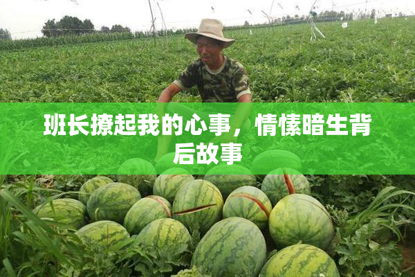 班长撩起我的心事，情愫暗生背后故事