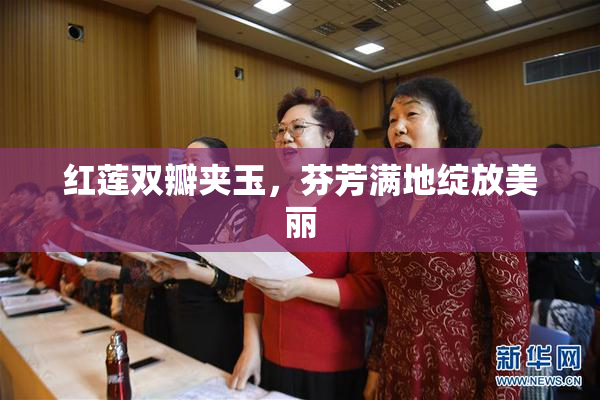 红莲双瓣夹玉，芬芳满地绽放美丽