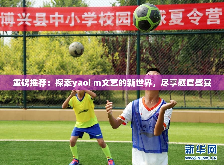 重磅推荐：探索yaoi m文艺的新世界，尽享感官盛宴
