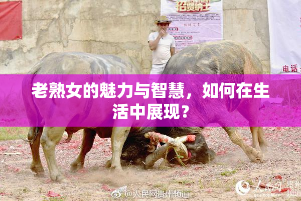 老熟女的魅力与智慧，如何在生活中展现？