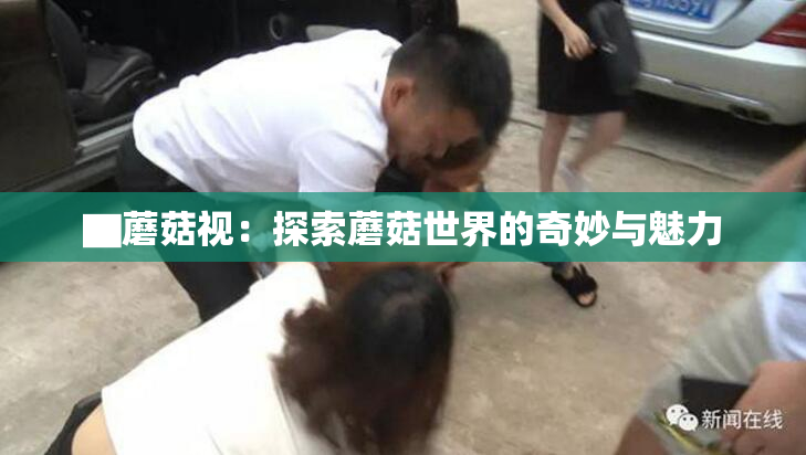 ▇蘑菇视：探索蘑菇世界的奇妙与魅力