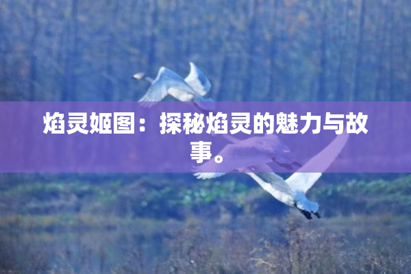 焰灵姬图：探秘焰灵的魅力与故事。