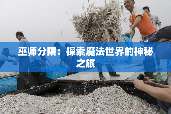 巫师分院：探索魔法世界的神秘之旅