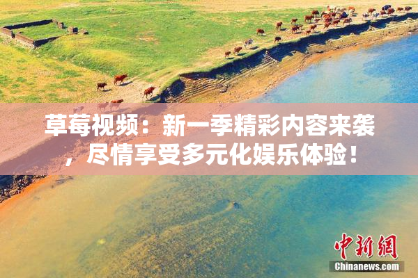 草莓视频：新一季精彩内容来袭，尽情享受多元化娱乐体验！