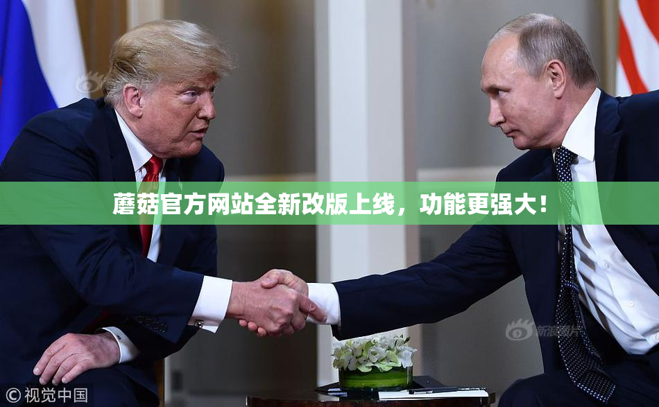 蘑菇官方网站全新改版上线，功能更强大！