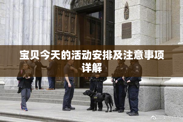 宝贝今天的活动安排及注意事项详解