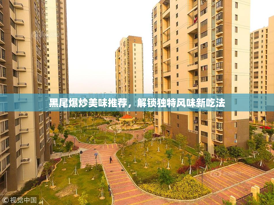 黑尾爆炒美味推荐，解锁独特风味新吃法