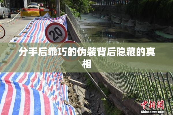 分手后乖巧的伪装背后隐藏的真相
