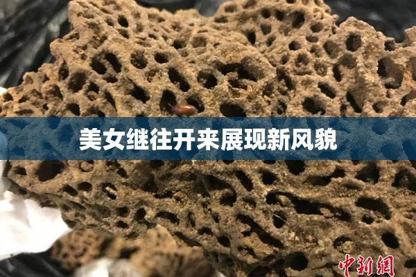 美女继往开来展现新风貌