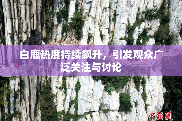 白鹿热度持续飙升，引发观众广泛关注与讨论