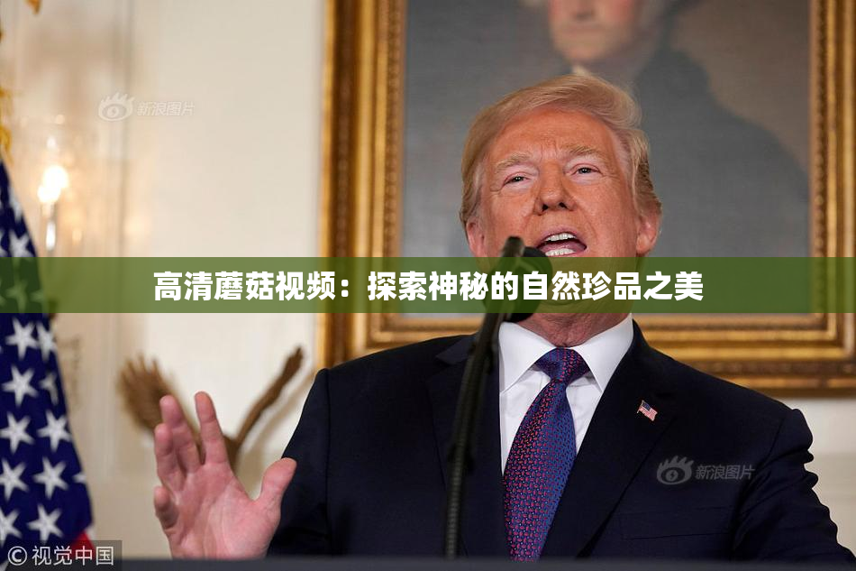 高清蘑菇视频：探索神秘的自然珍品之美