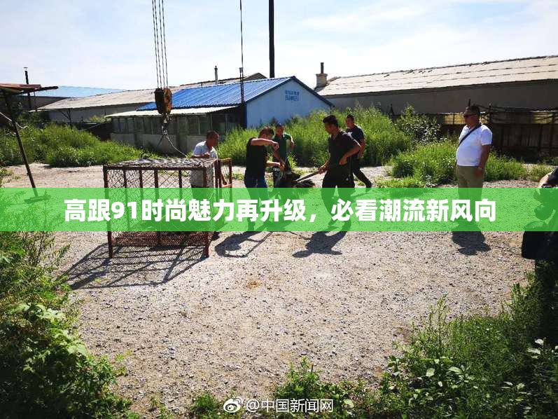 高跟91时尚魅力再升级，必看潮流新风向