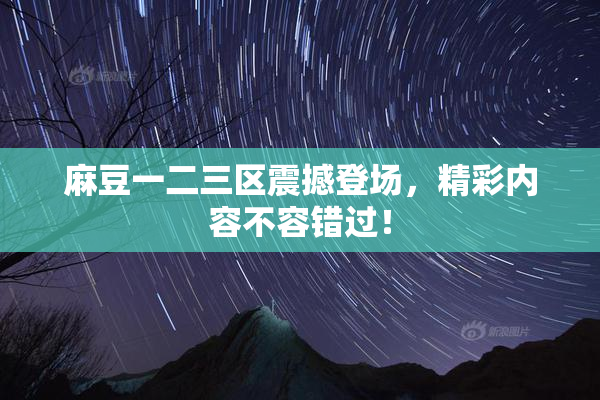 麻豆一二三区震撼登场，精彩内容不容错过！