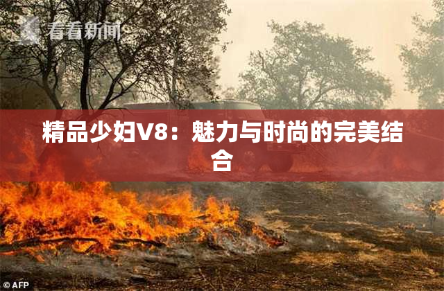精品少妇V8：魅力与时尚的完美结合