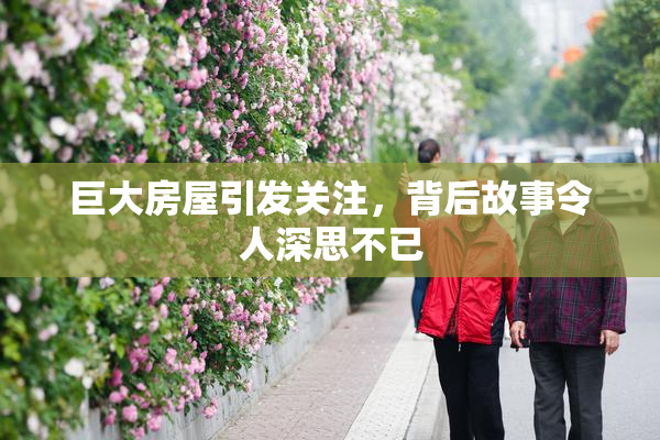 巨大房屋引发关注，背后故事令人深思不已